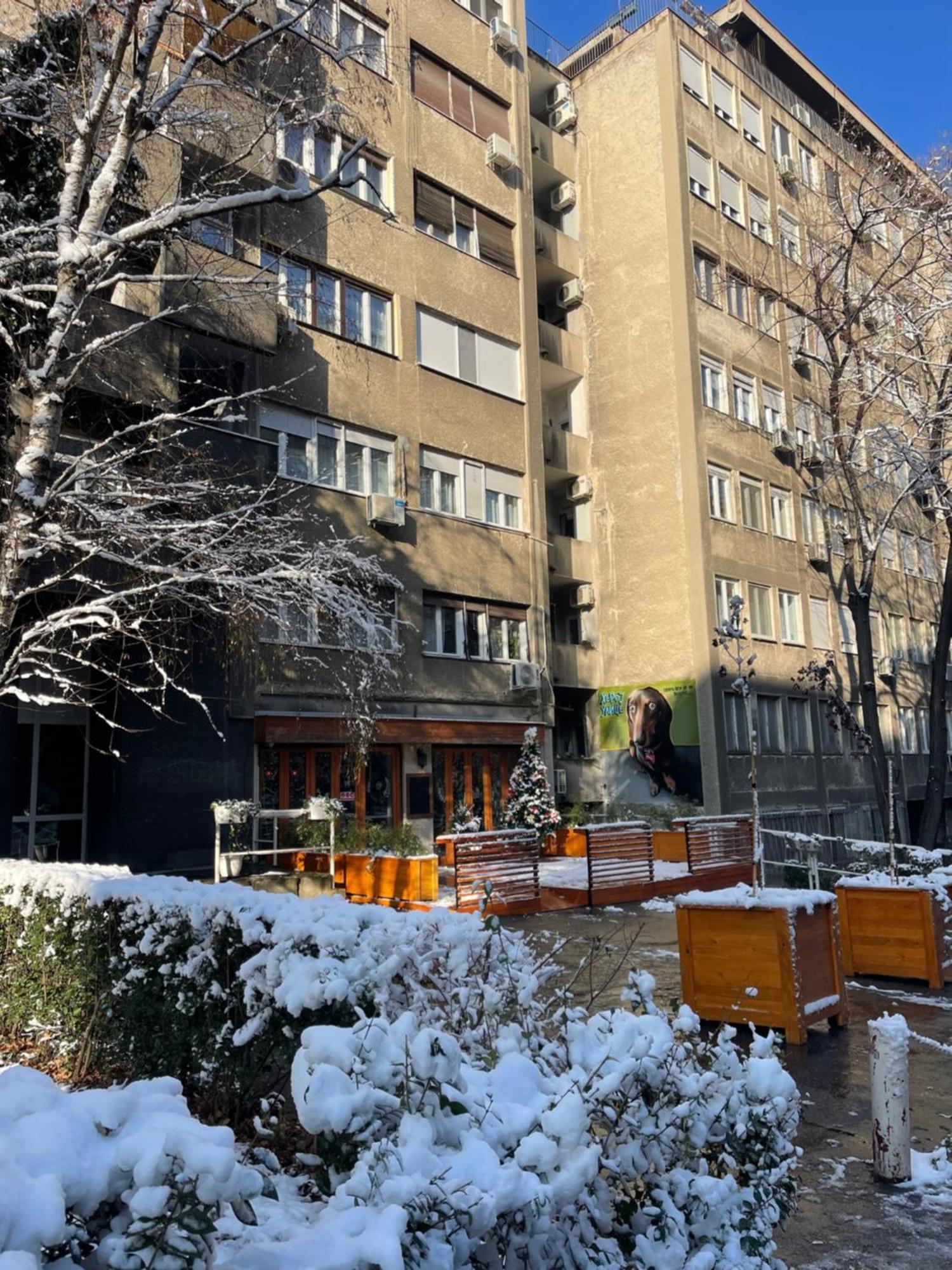 Apartment Mirochka 贝尔格莱德 外观 照片