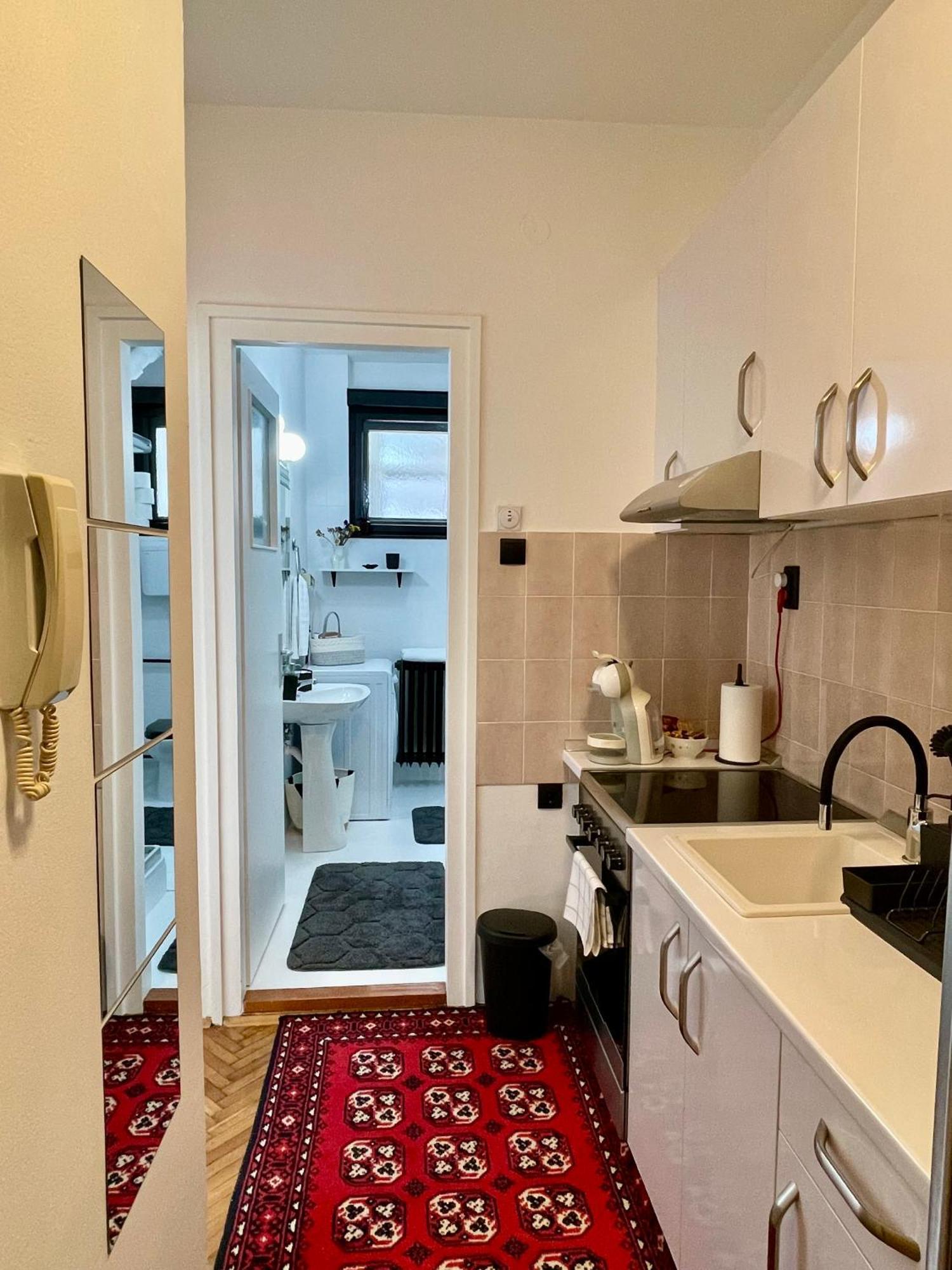 Apartment Mirochka 贝尔格莱德 外观 照片