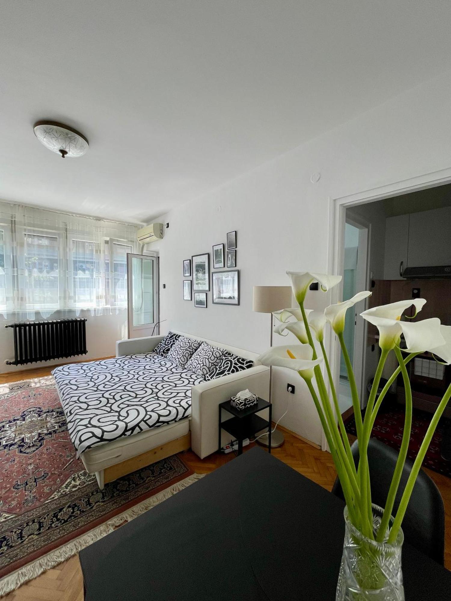 Apartment Mirochka 贝尔格莱德 外观 照片